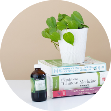 Green plant on top of chinese medicine books.